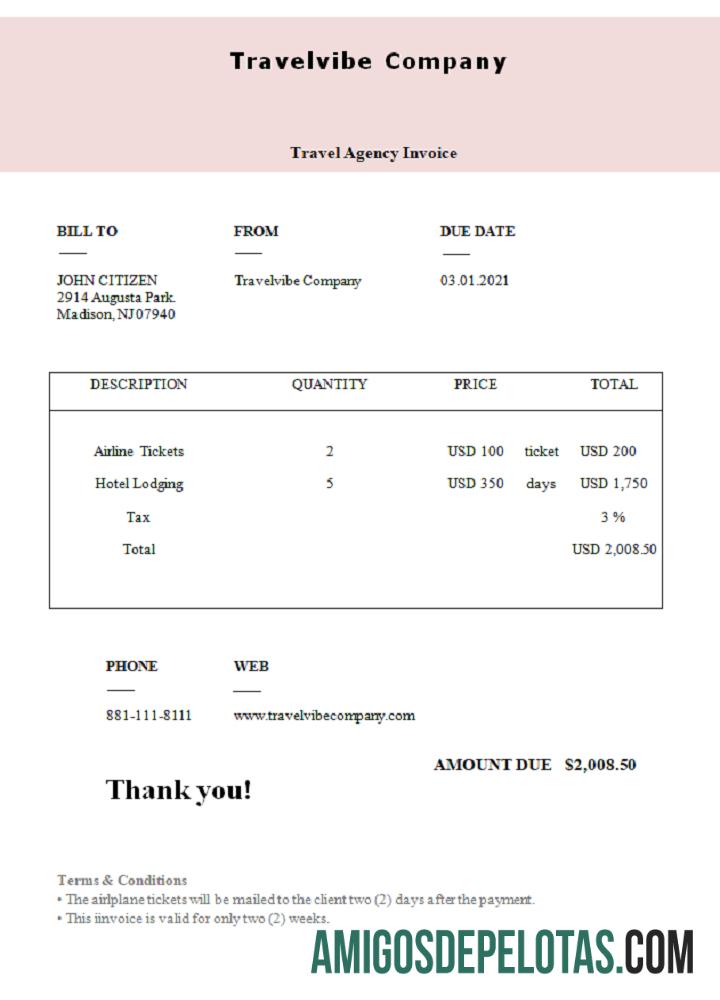 Fatura da empresa Travelvibe nos EUA exemplo real